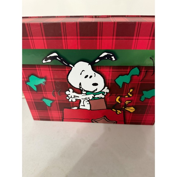 Peanuts Mens 2 Piece Sleep Set Snoopy Woodstock Pajamas Christmas Plaid Medium - Picture 3 of 3